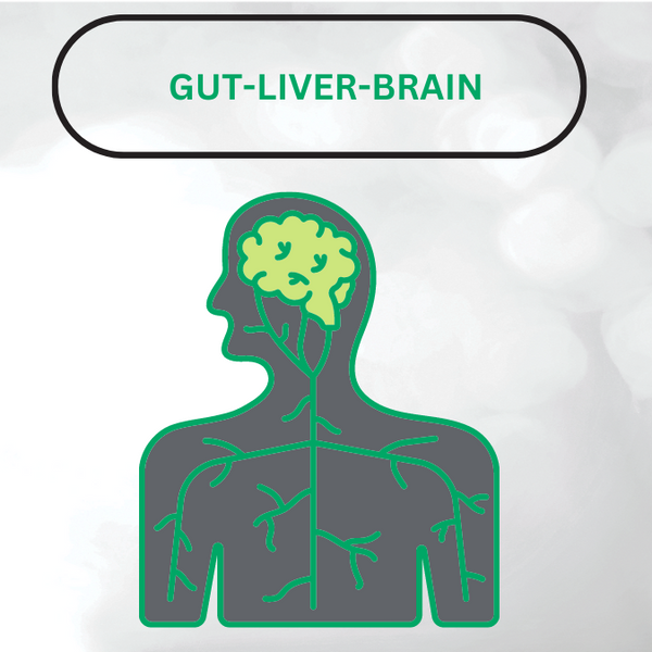 Minding the Gut-Liver-Brain Connection: Revolutionizing Your Well-Being
