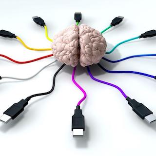 The Gut-Brain Axis - what you eat can impact your mood