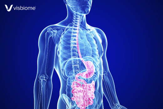 Visbiome Probiotic May Play a Role in Recovery of GI Functions in HIV Patients