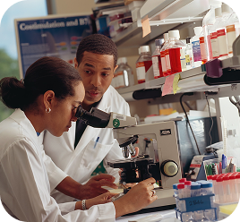 Clinical Studies